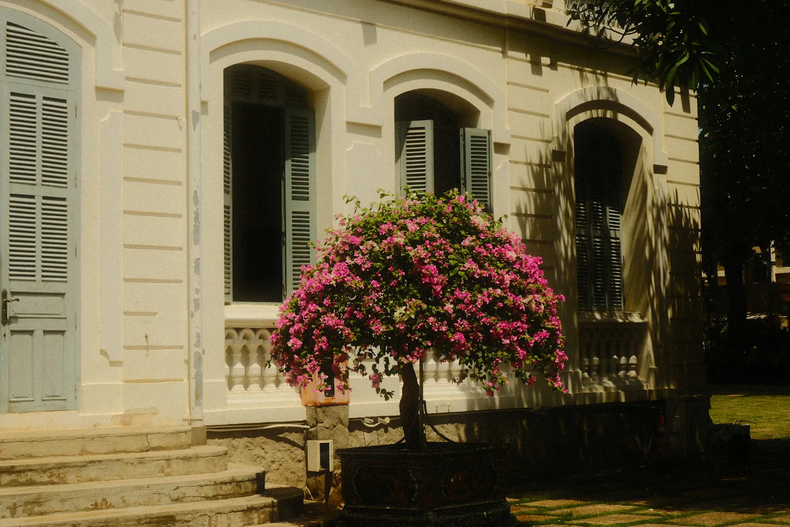 Sonnenbeschienene Villenfassade mit blühendem Strauch am Eingang.
