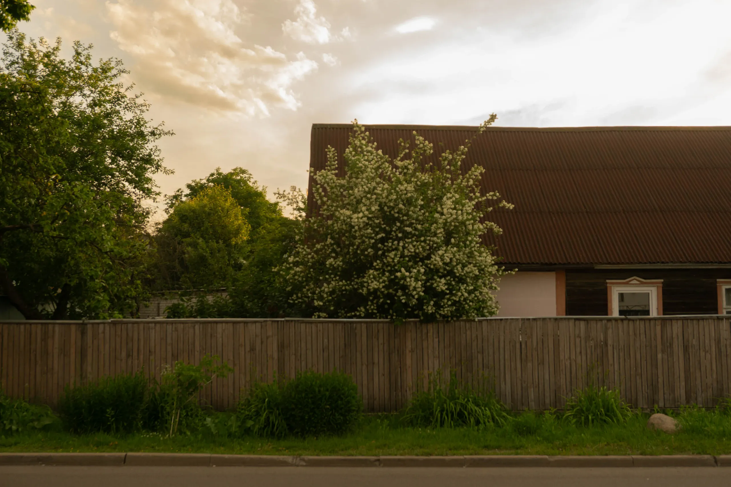 Älteres Wohnhaus mit Bäumen hinter einem Holzzaun in der Abenddämmerung.